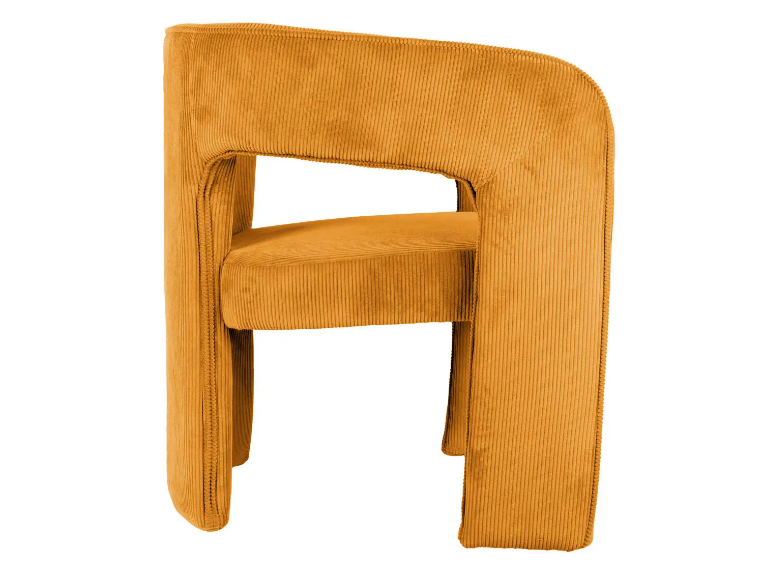 Fauteuil Vigor