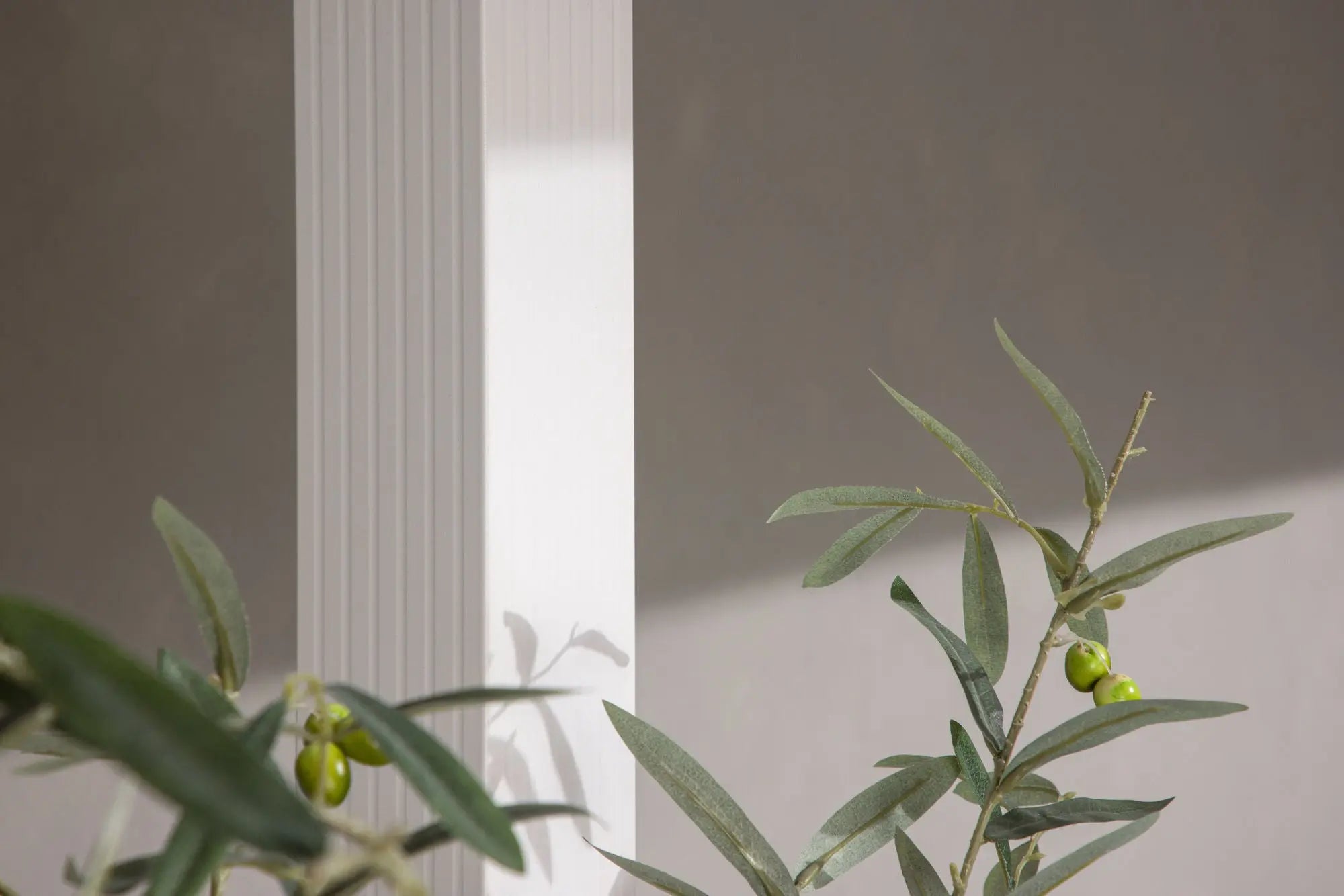 Pergola Lazio Loome