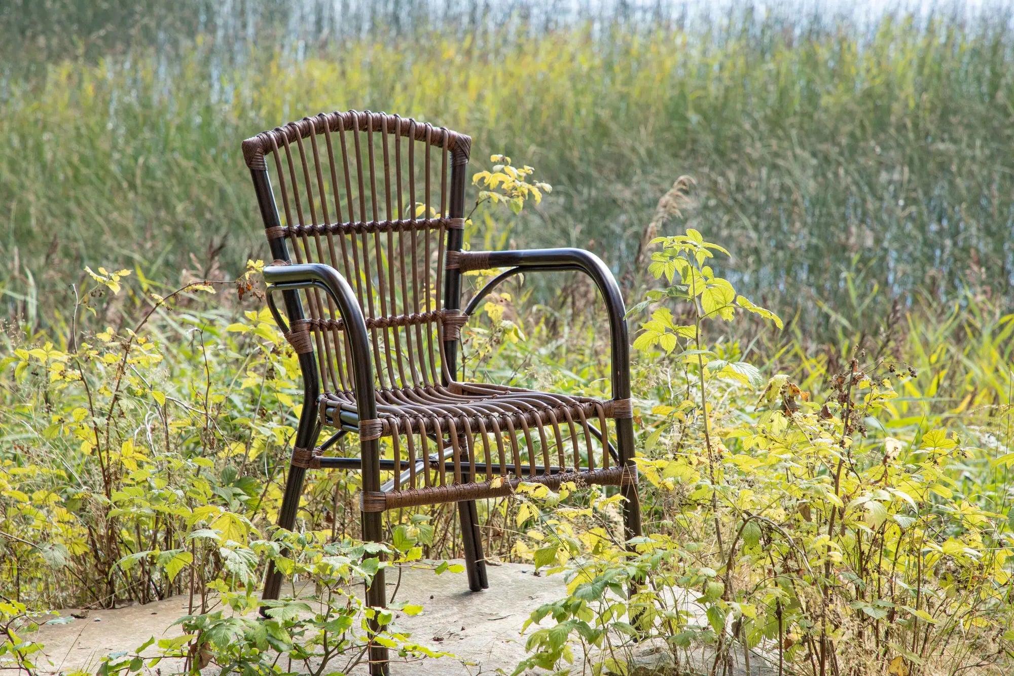 Chaise de salle à manger Galera Loome