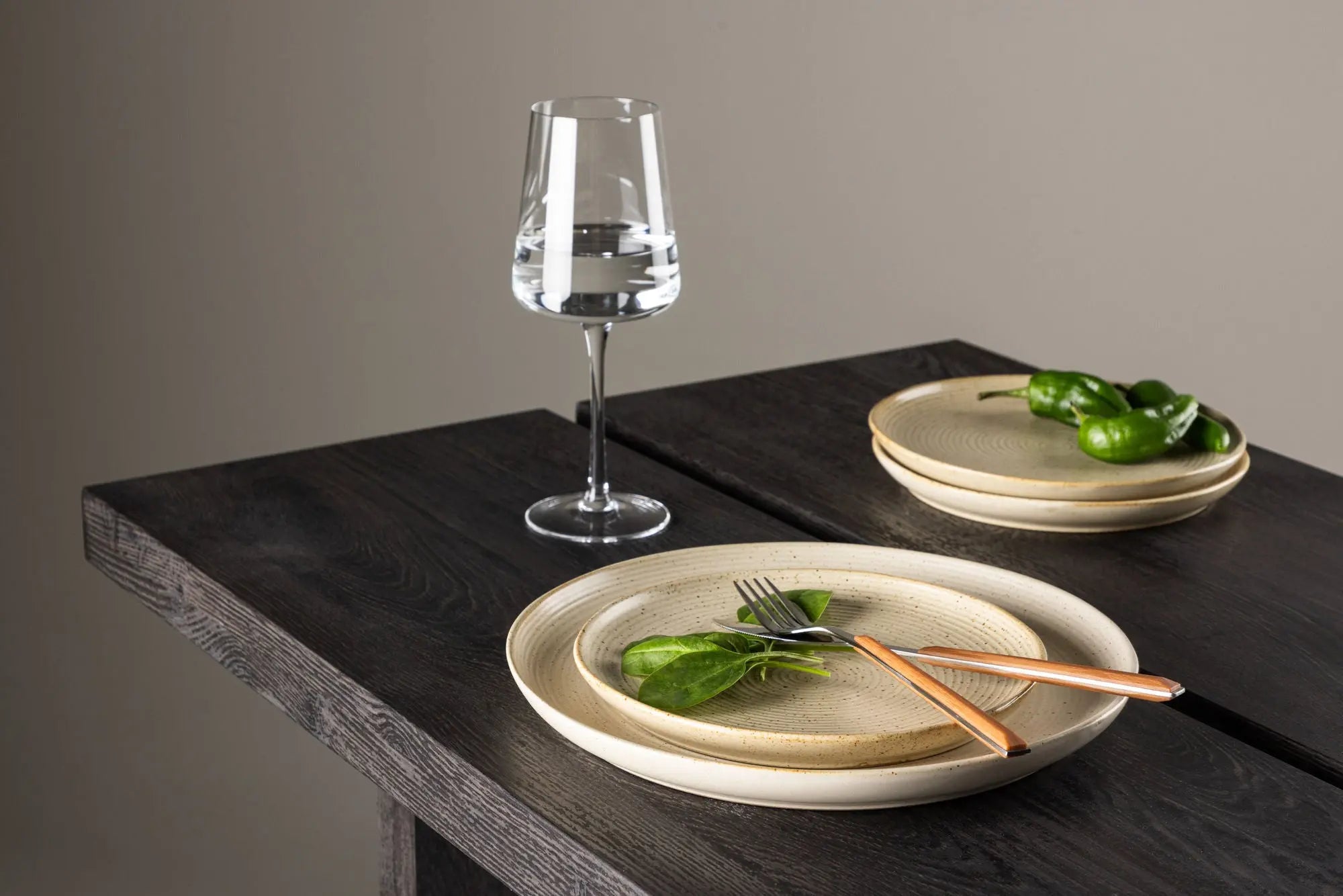 Lot de 2 assiettes Active - ø20 - Poterie