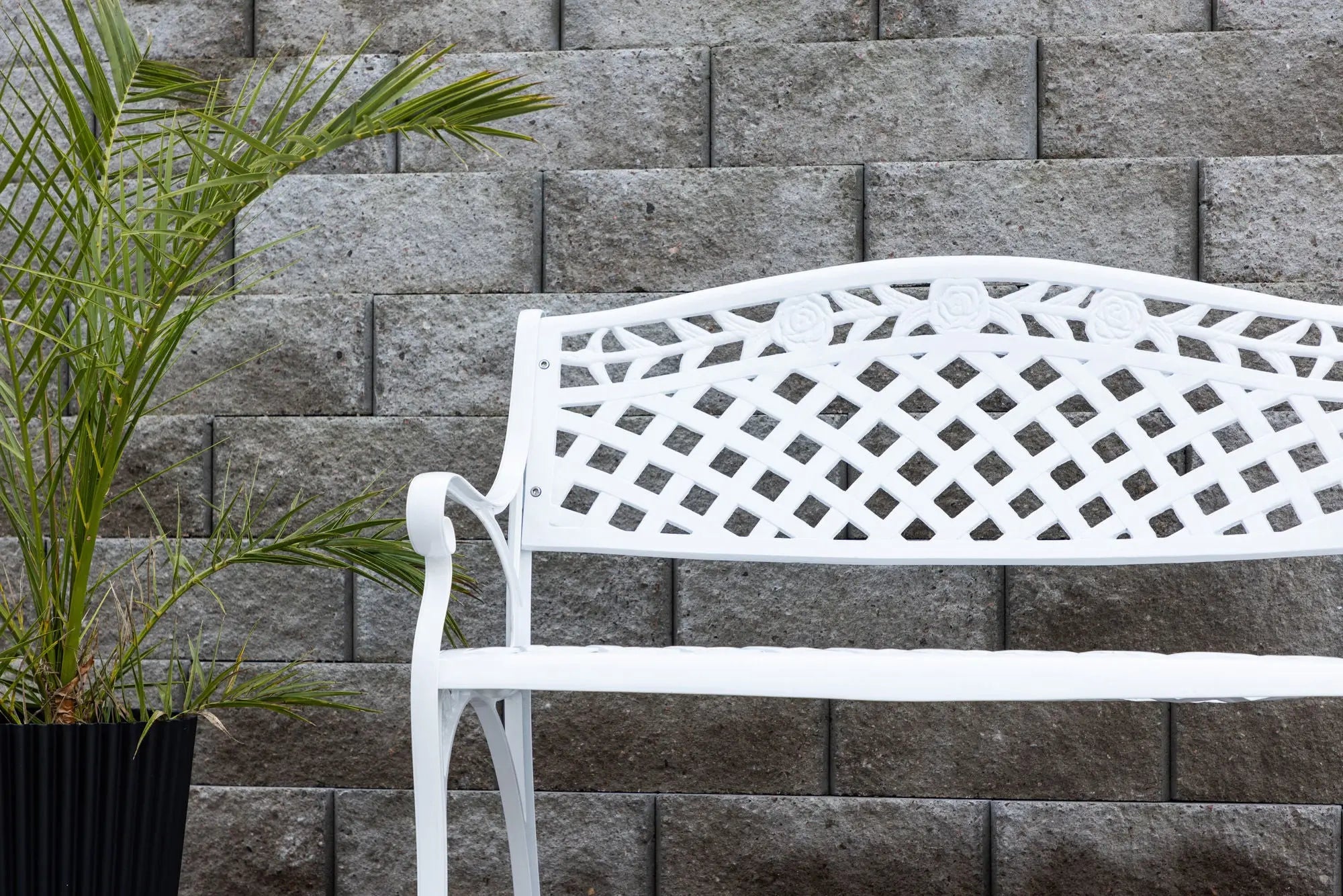 Banc Mafra Loome