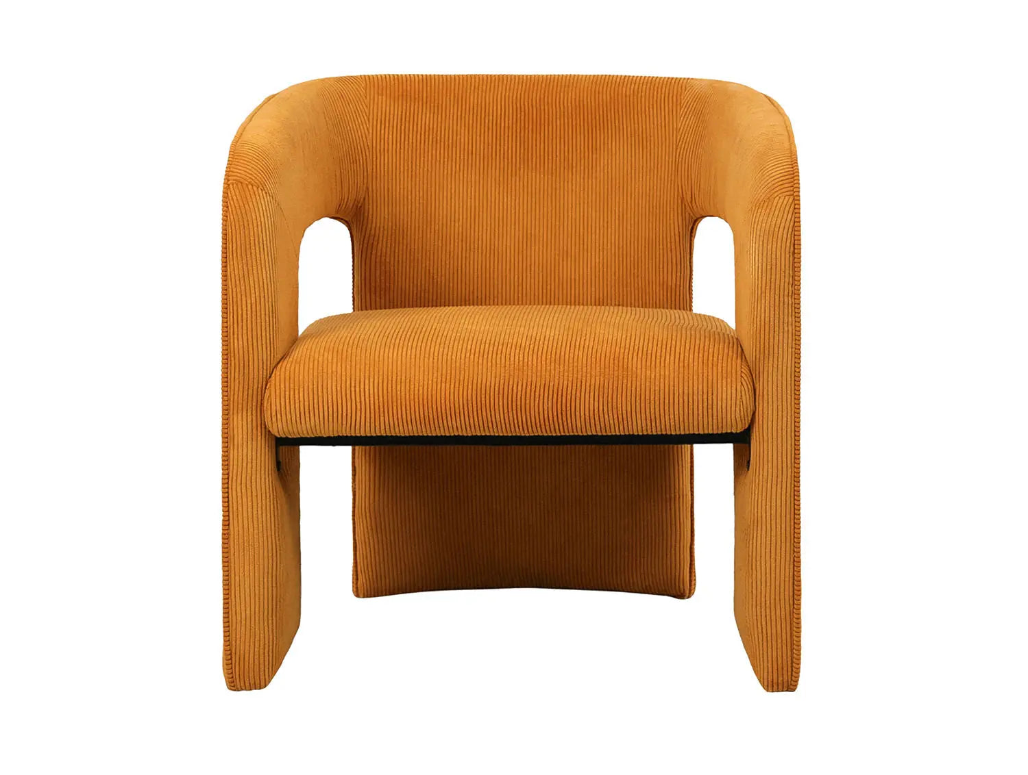 Fauteuil Vigor