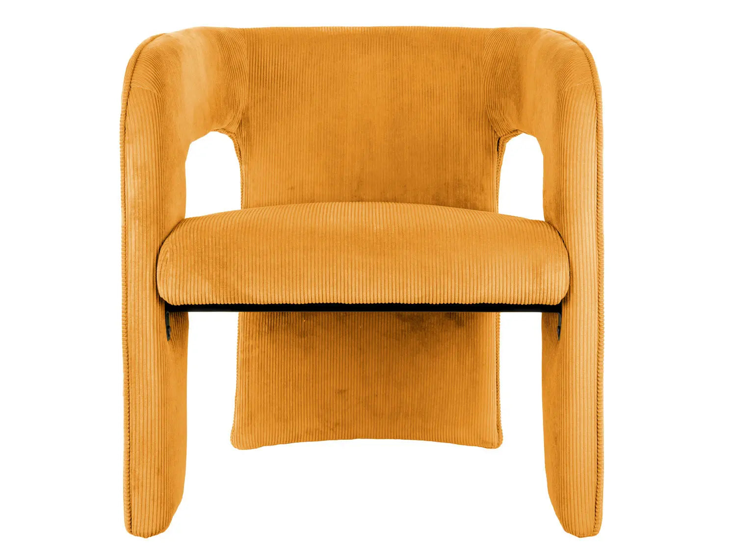 Fauteuil Vigor
