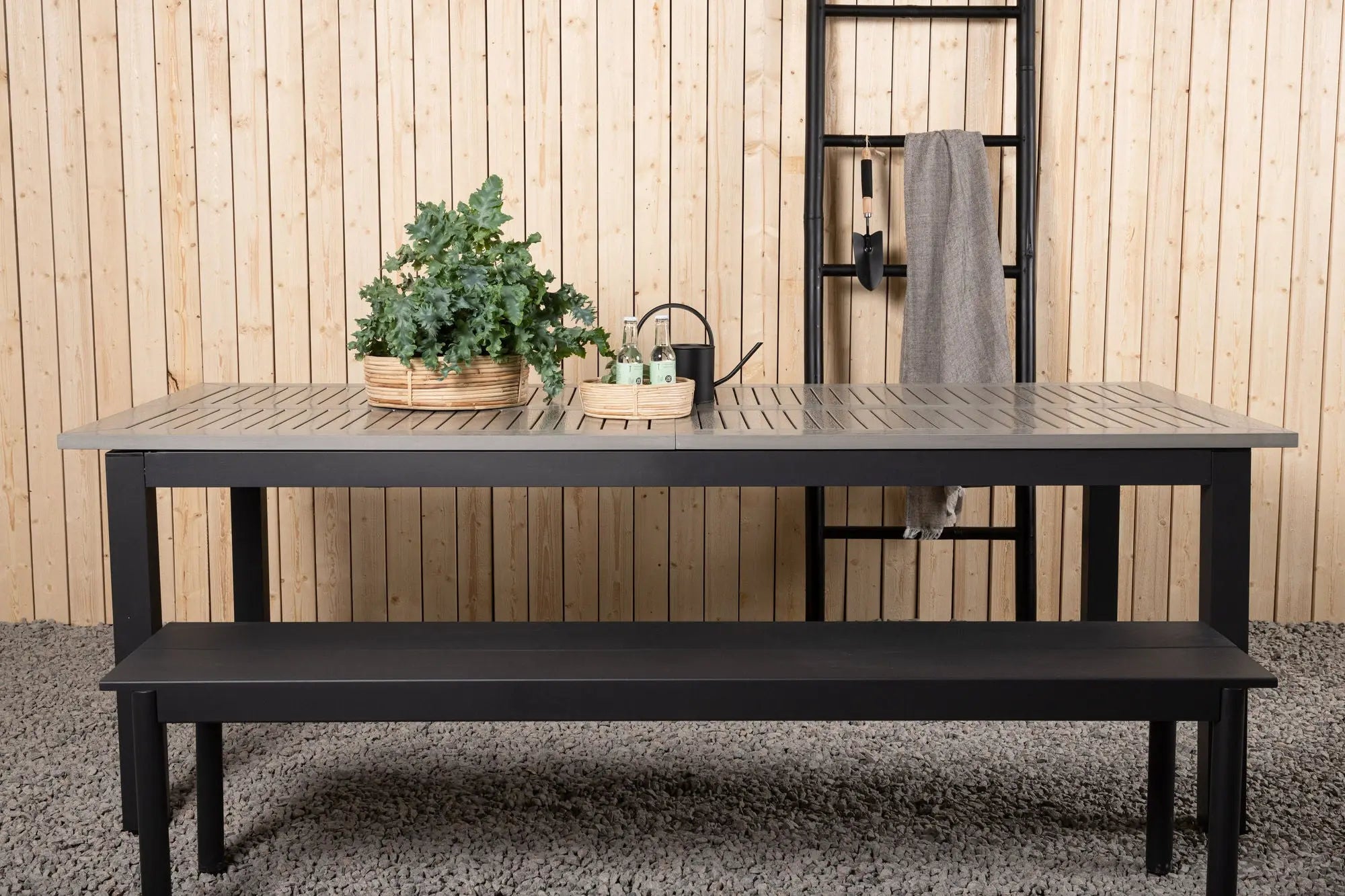 Table Albany  Loome