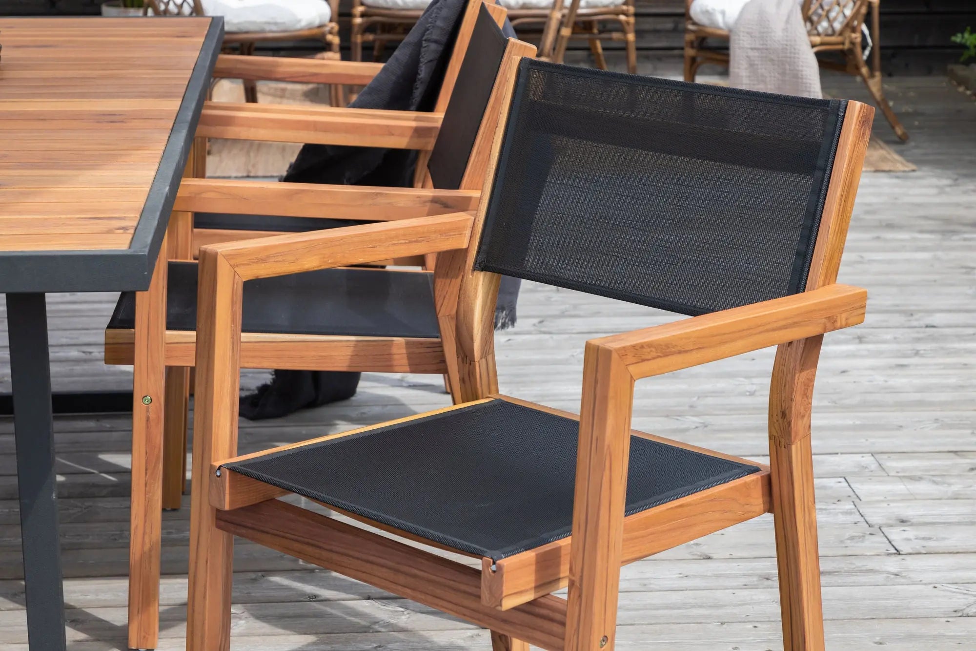 Lot de 2 chaises Venice  Loome