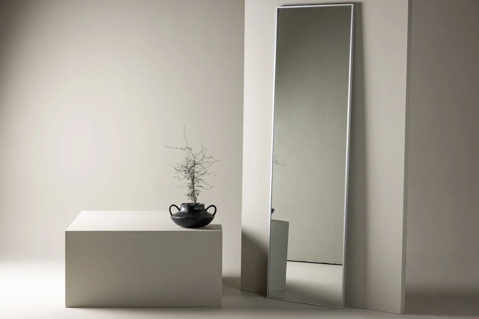Miroir Dalton - 220x67 - Verre