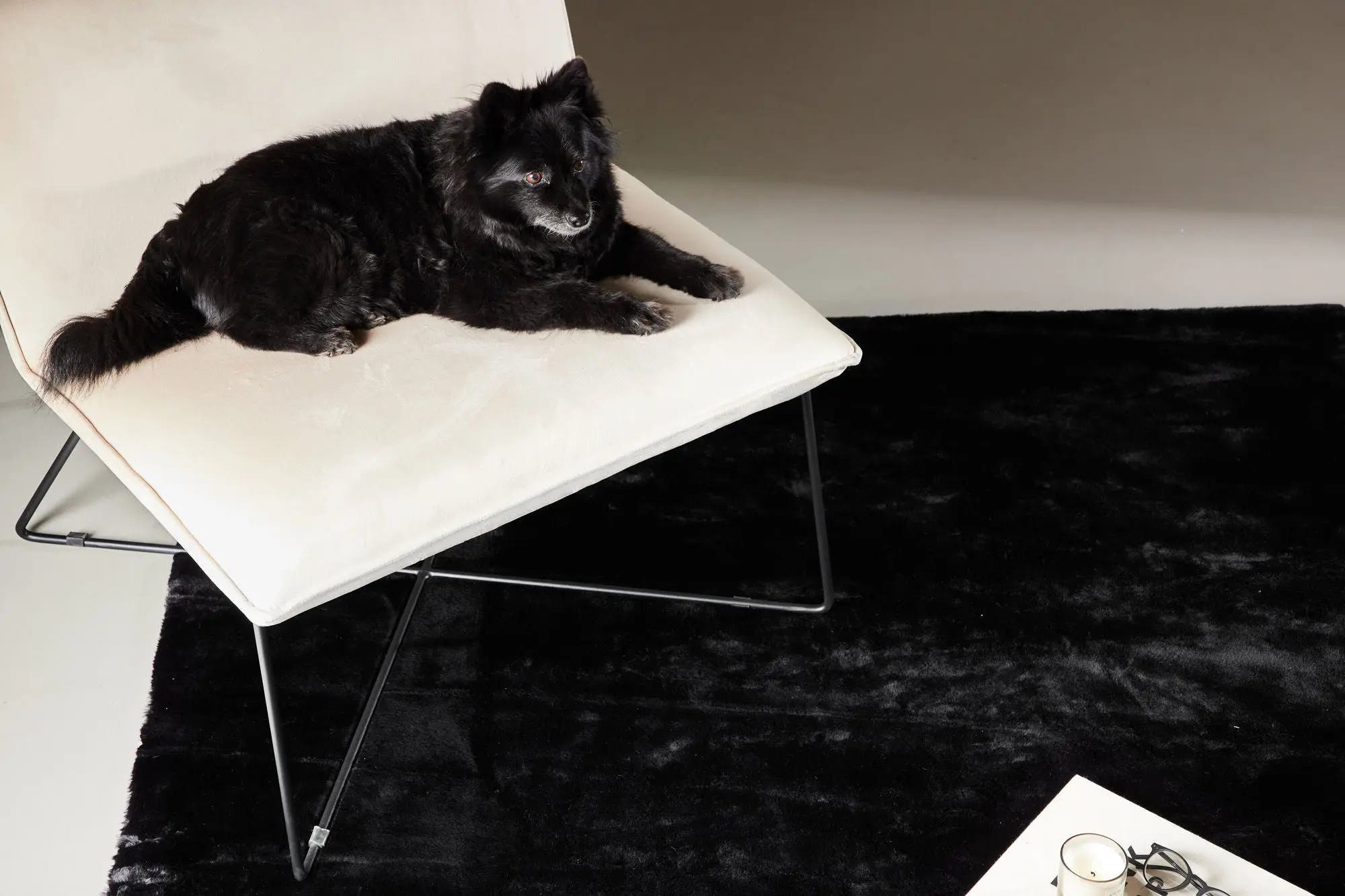 Tapis en polyester rectangulaire Nina - 230*160cm - 160 x 230 - Polyester