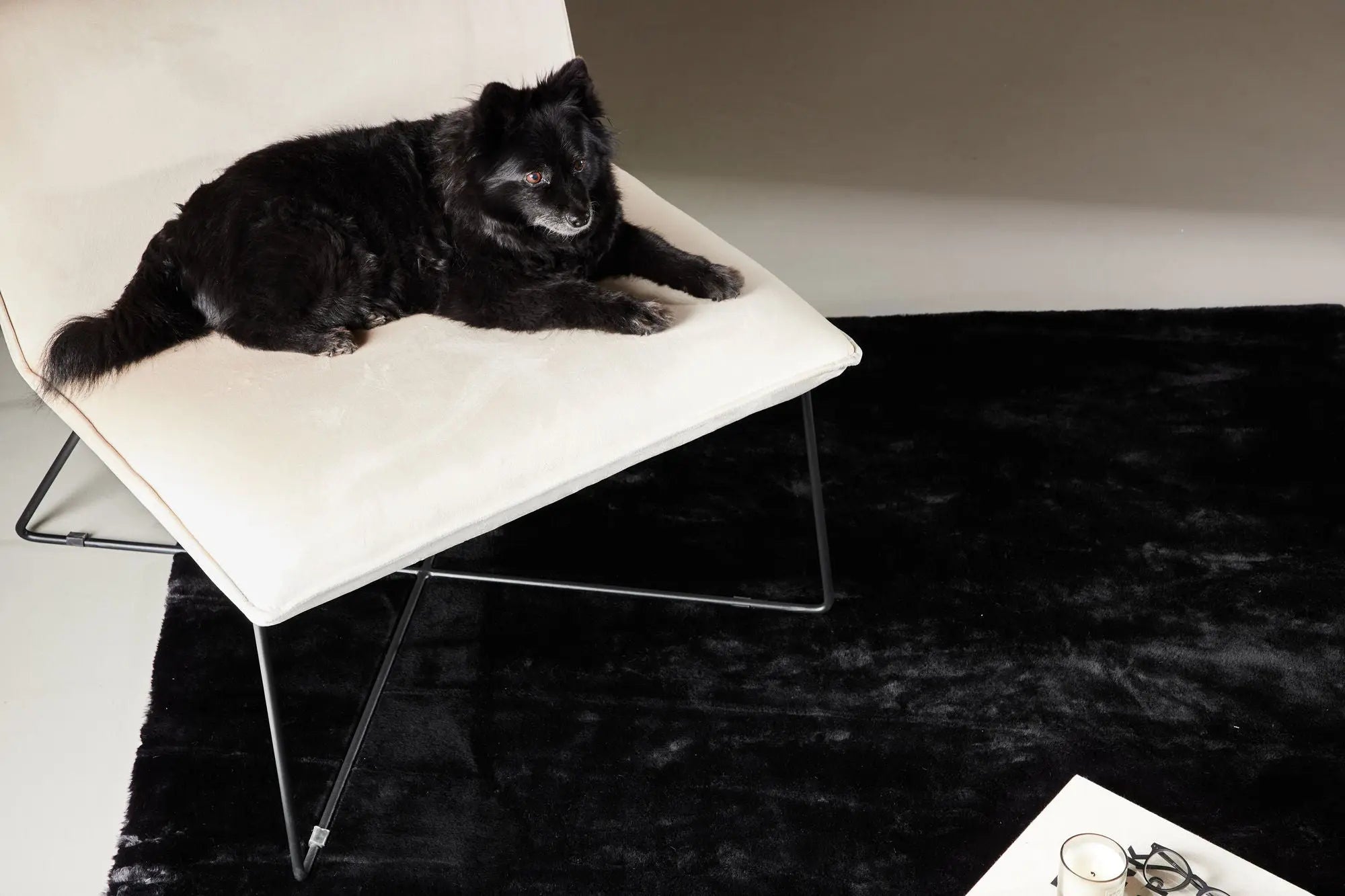 Tapis en polyester rectangulaire Nina - 230*160cm - 160 x 230 - Polyester