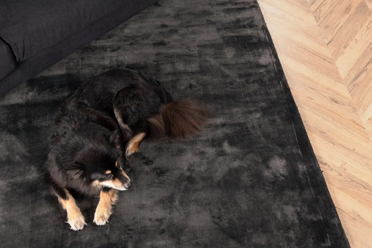 Tapis en viscose Indra - 200*300cm - 201 x 301 - Viscose