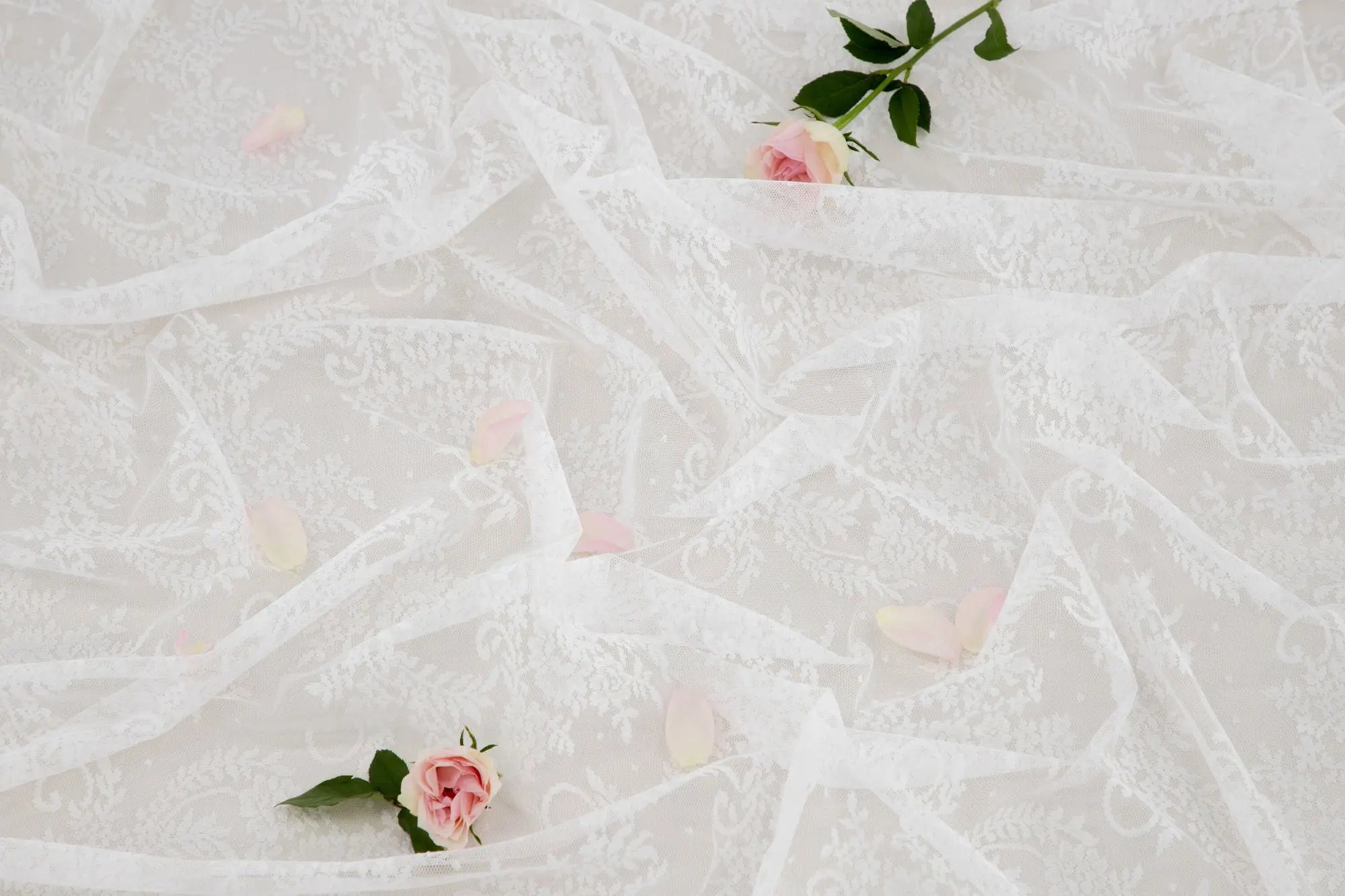 Rideaux Daisy - 250 x 55 - Polyester