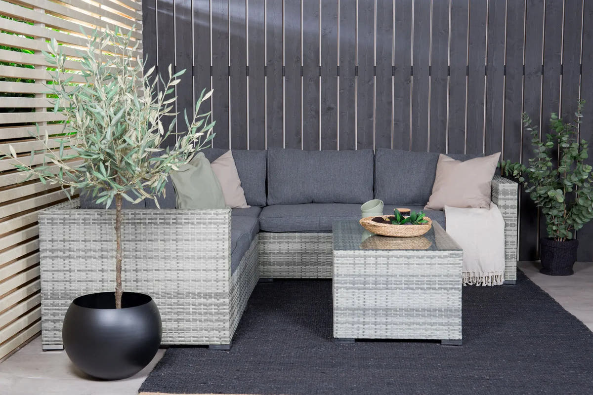 Ensemble de canapés Amazon  Loome