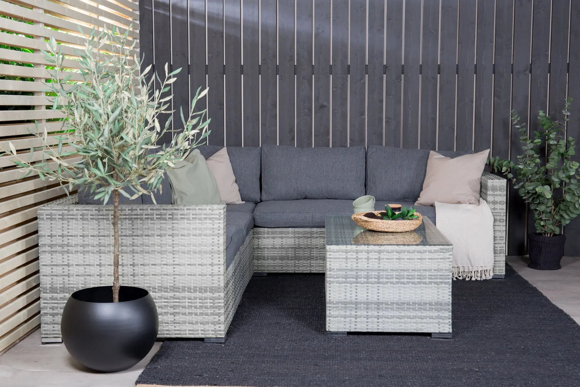 Ensemble de canapés Amazon  Loome