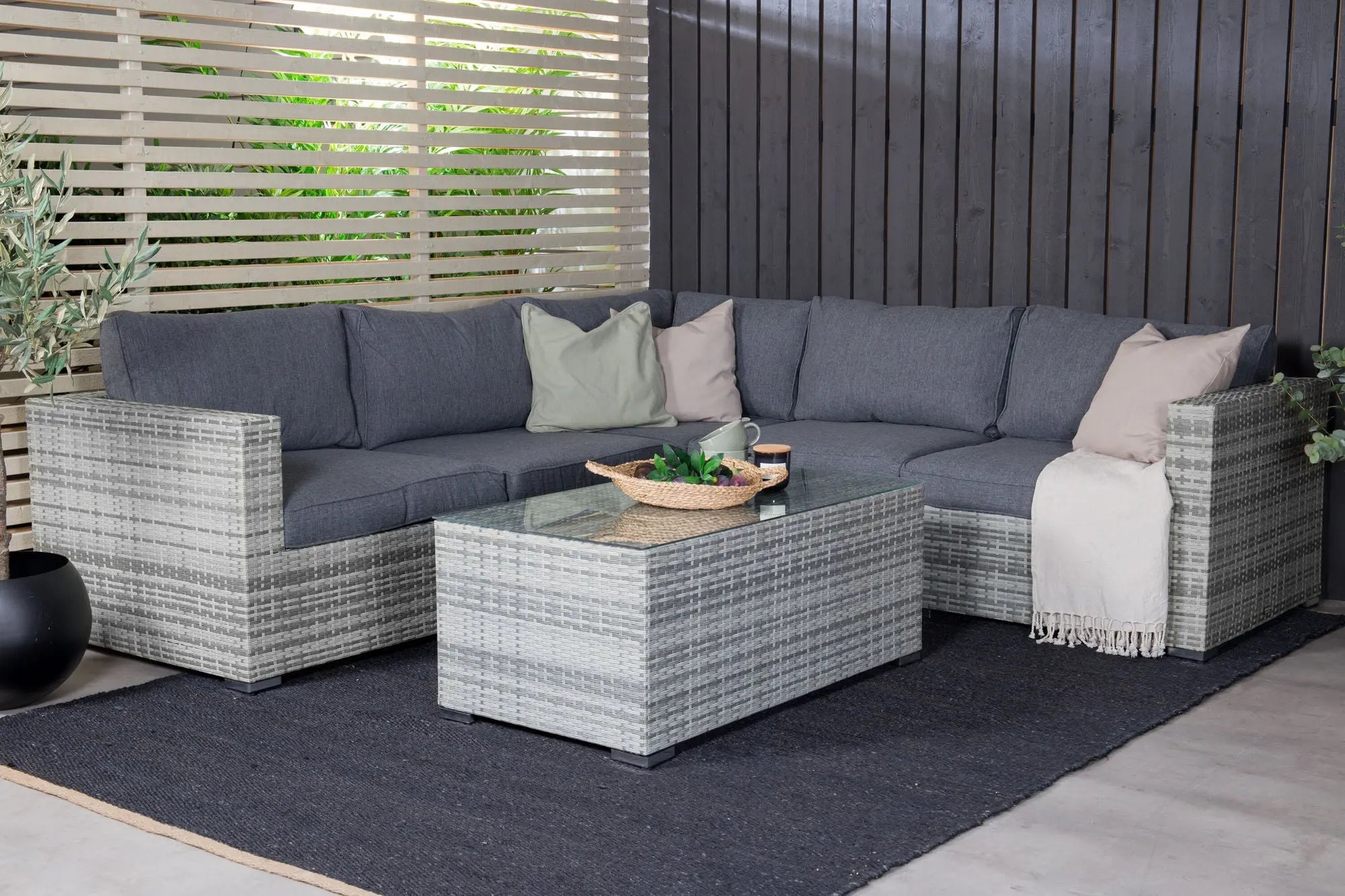 Ensemble de canapés Amazon  Loome