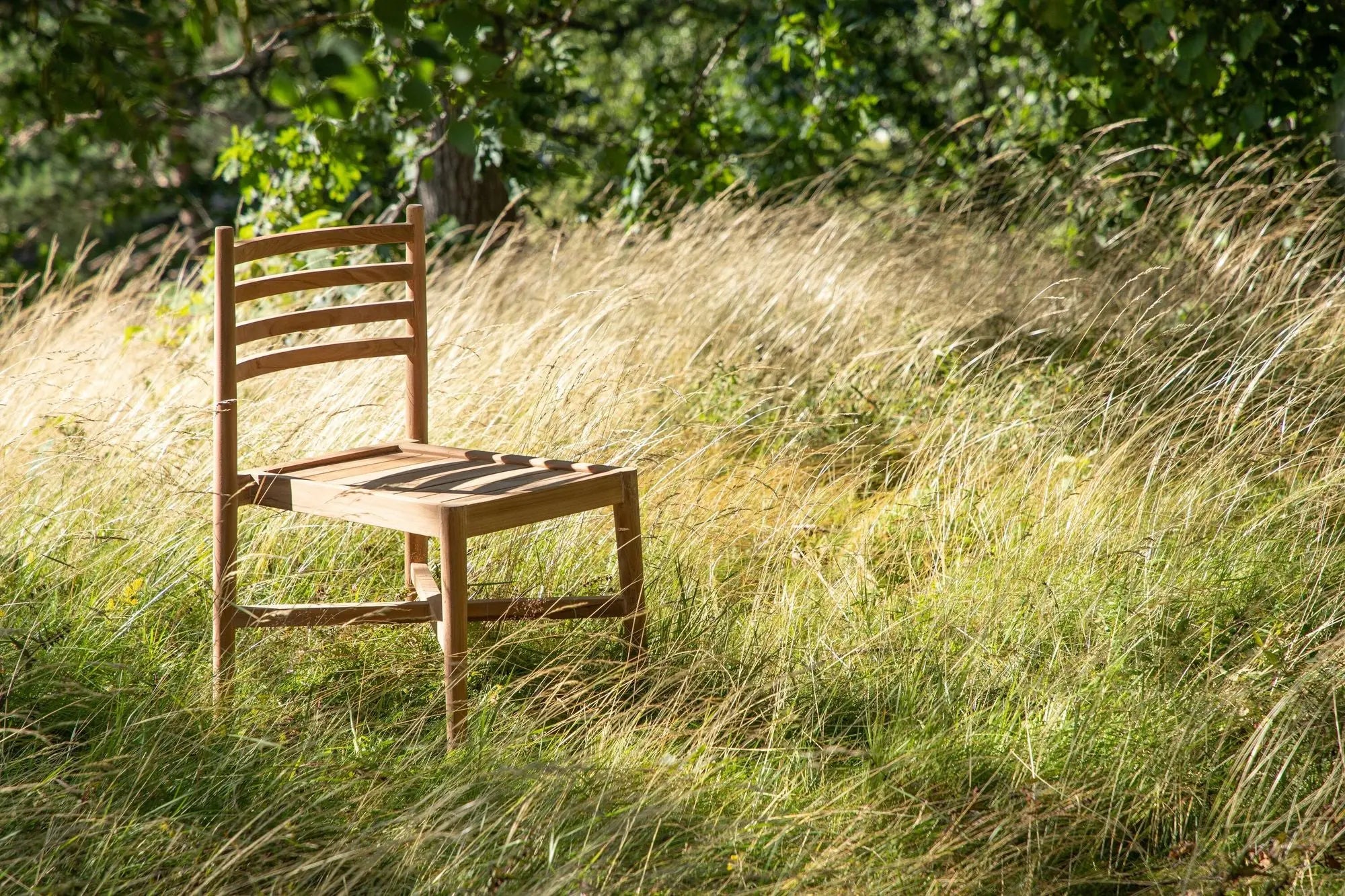 Chaise de table à manger Kenya  Loome